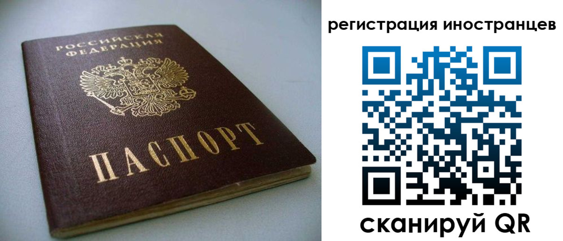 пропишу в квартире в Новозыбкове