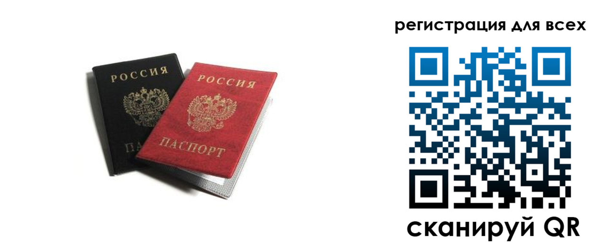 прописка гарантия в Новозыбкове